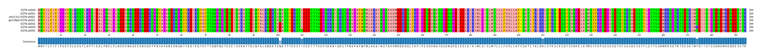 Multiple Alignments (by translate haplotype similarity)