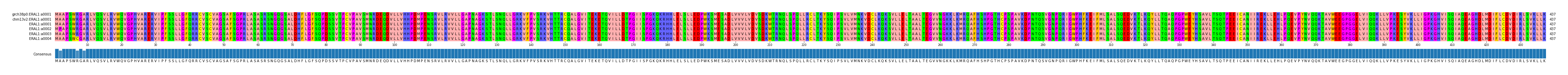 Multiple Alignments (by translate haplotype frequency)