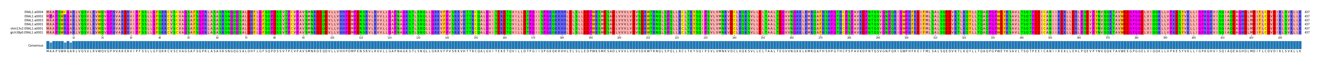 Multiple Alignments (by translate haplotype similarity)