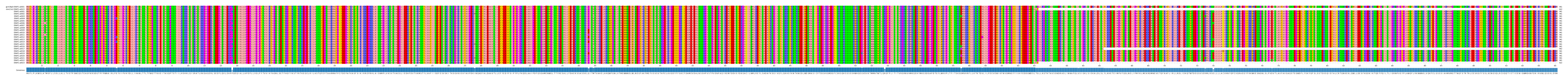 Multiple Alignments (by translate haplotype frequency)