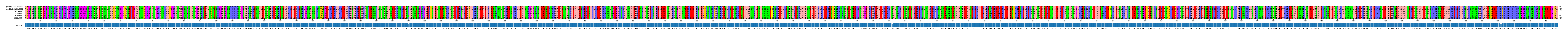 Multiple Alignments (by translate haplotype frequency)