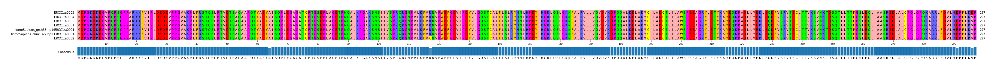 Multiple Alignments (by translate haplotype similarity)