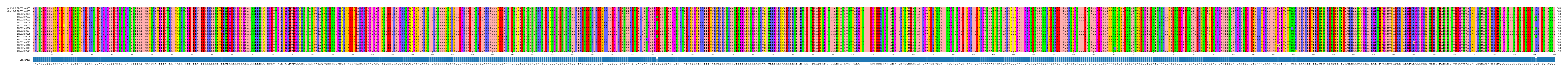 Multiple Alignments (by translate haplotype frequency)