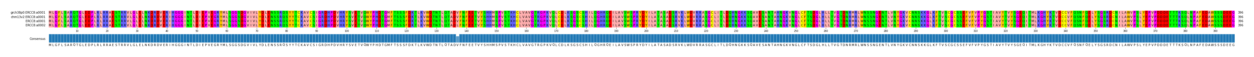 Multiple Alignments (by translate haplotype similarity)