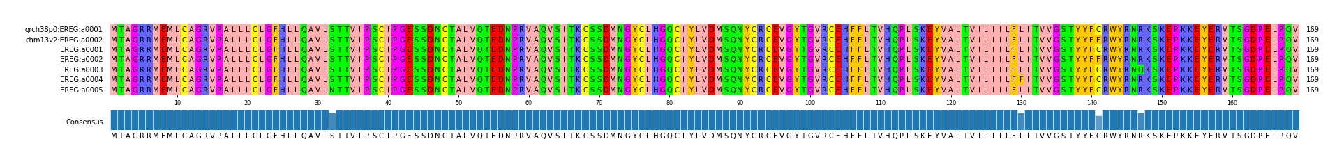 Multiple Alignments (by translate haplotype frequency)