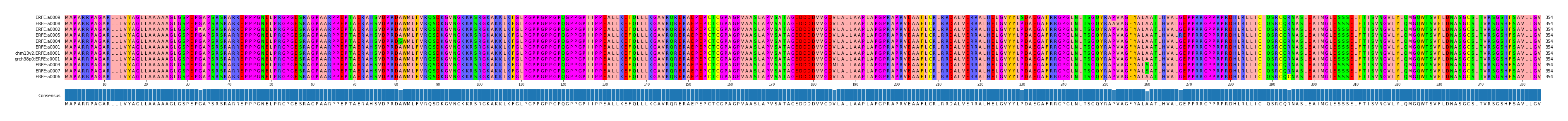 Multiple Alignments (by translate haplotype similarity)