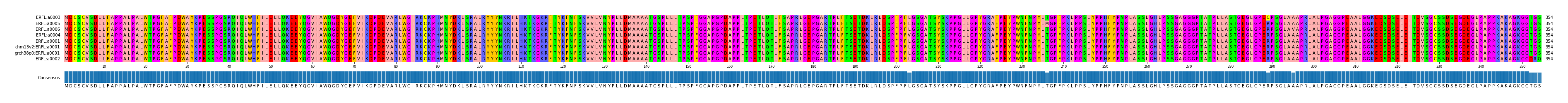 Multiple Alignments (by translate haplotype similarity)