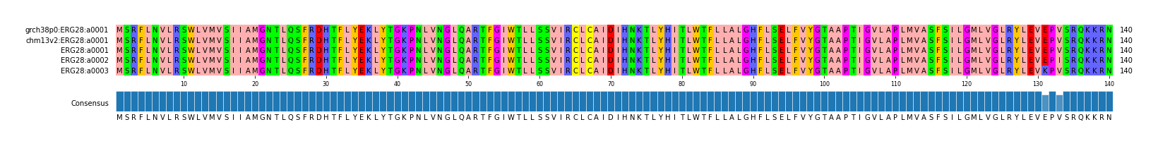 Multiple Alignments (by translate haplotype frequency)