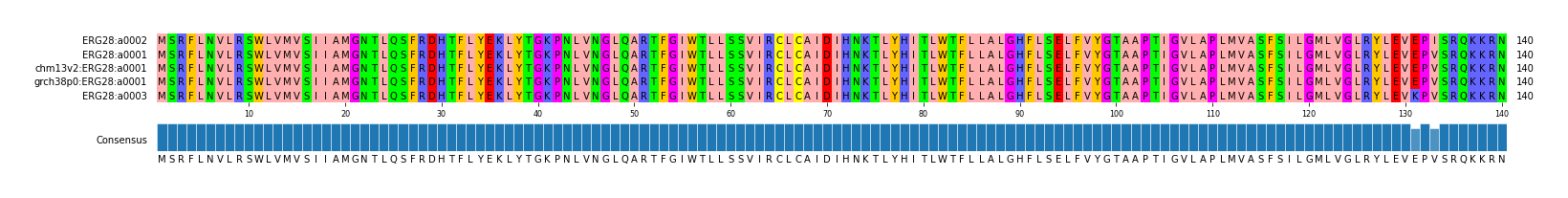 Multiple Alignments (by translate haplotype similarity)