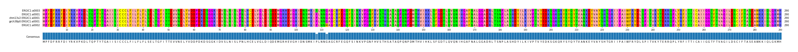 Multiple Alignments (by translate haplotype similarity)