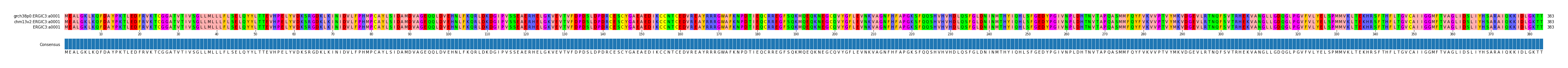 Multiple Alignments (by translate haplotype frequency)