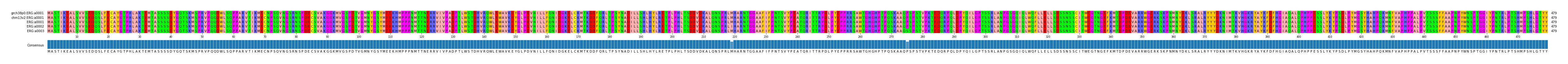 Multiple Alignments (by translate haplotype frequency)