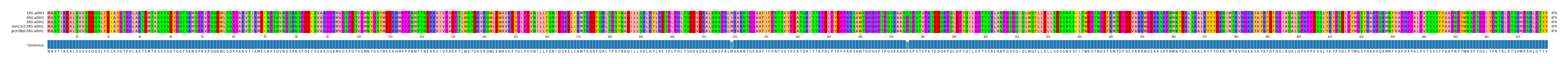 Multiple Alignments (by translate haplotype similarity)