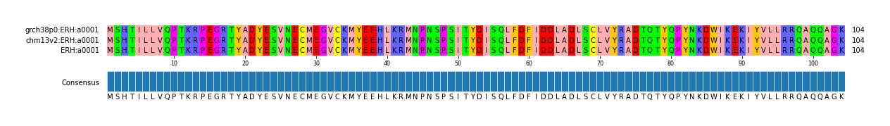 Multiple Alignments (by translate haplotype similarity)