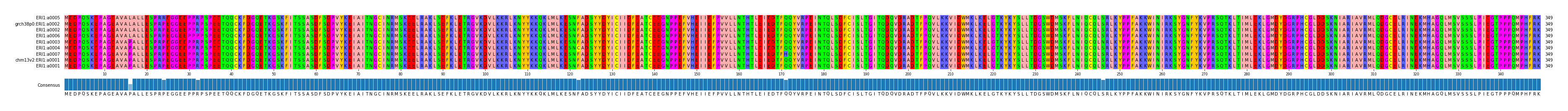 Multiple Alignments (by translate haplotype similarity)