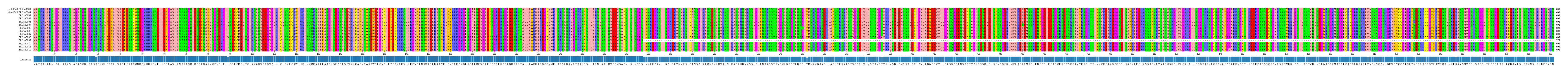 Multiple Alignments (by translate haplotype frequency)