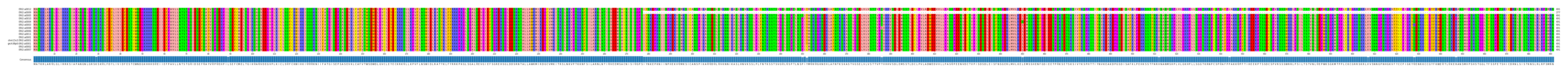 Multiple Alignments (by translate haplotype similarity)