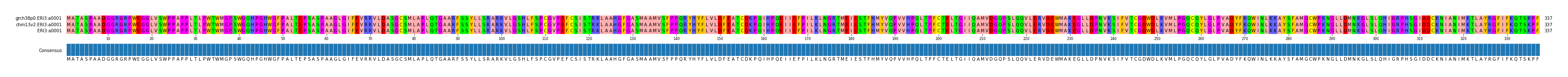 Multiple Alignments (by translate haplotype similarity)