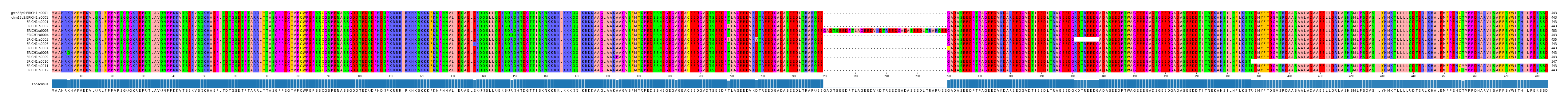 Multiple Alignments (by translate haplotype frequency)