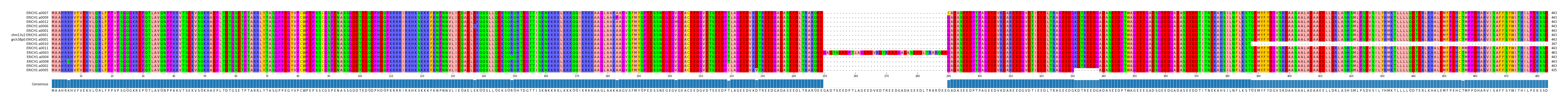 Multiple Alignments (by translate haplotype similarity)