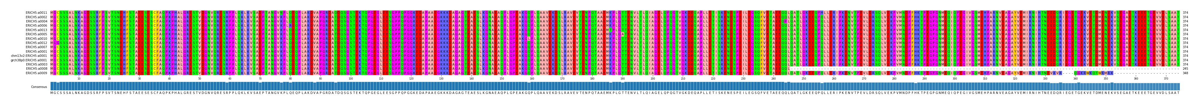 Multiple Alignments (by translate haplotype similarity)