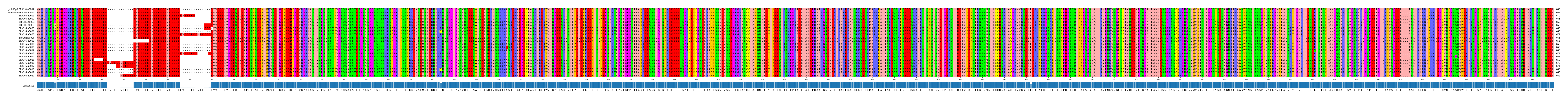 Multiple Alignments (by translate haplotype frequency)