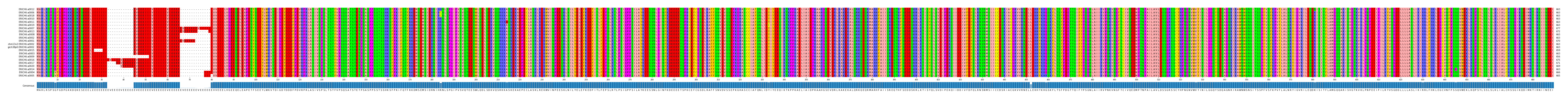 Multiple Alignments (by translate haplotype similarity)