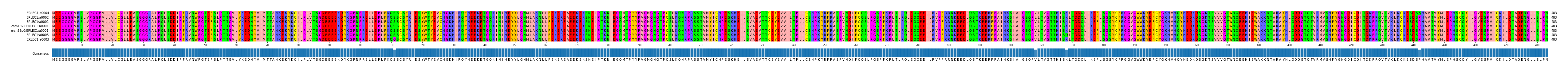 Multiple Alignments (by translate haplotype similarity)