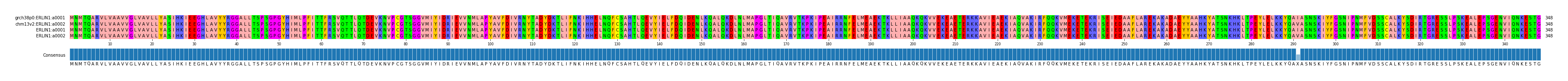 Multiple Alignments (by translate haplotype frequency)