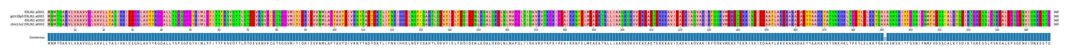 Multiple Alignments (by translate haplotype similarity)