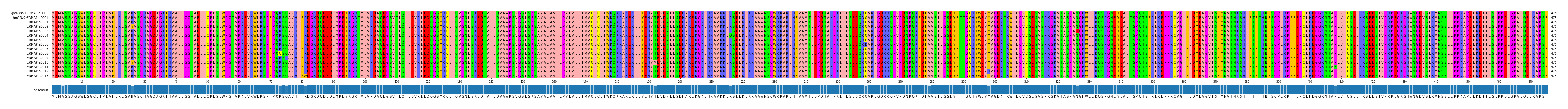 Multiple Alignments (by translate haplotype frequency)