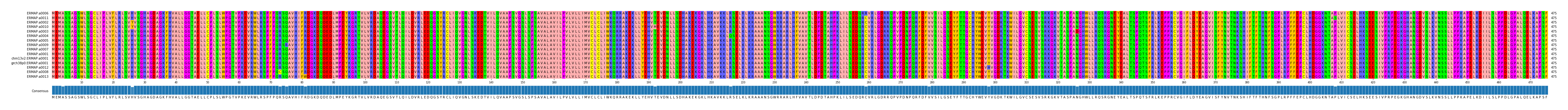 Multiple Alignments (by translate haplotype similarity)