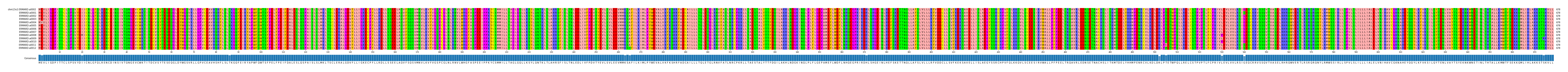 Multiple Alignments (by translate haplotype frequency)