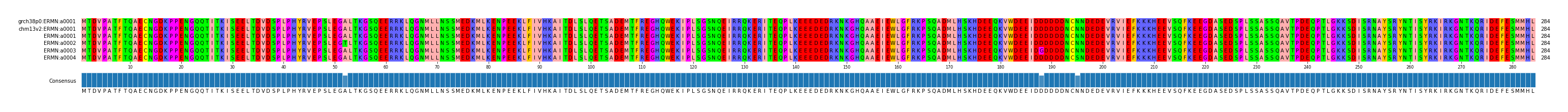 Multiple Alignments (by translate haplotype frequency)