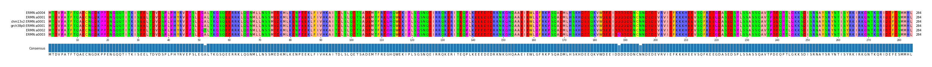 Multiple Alignments (by translate haplotype similarity)