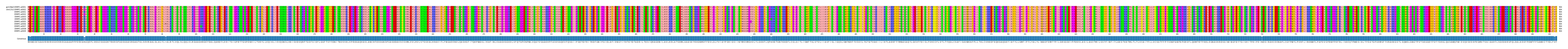Multiple Alignments (by translate haplotype frequency)