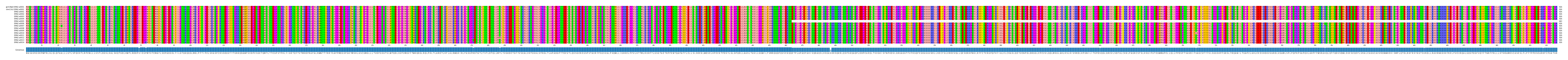 Multiple Alignments (by translate haplotype frequency)