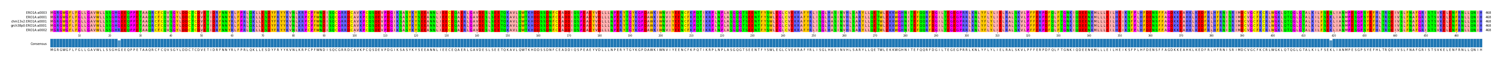 Multiple Alignments (by translate haplotype similarity)