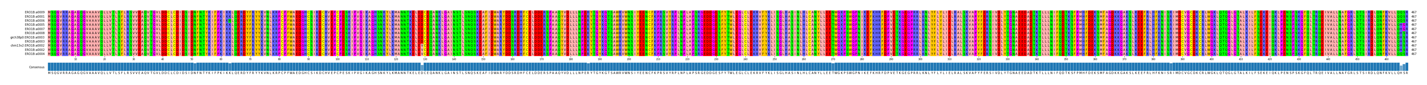 Multiple Alignments (by translate haplotype similarity)