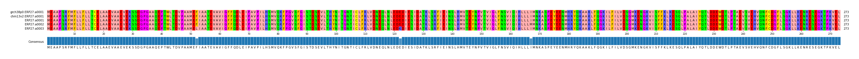 Multiple Alignments (by translate haplotype frequency)