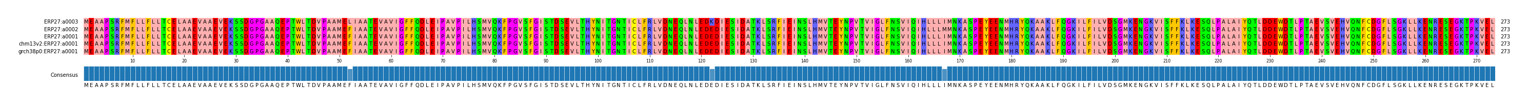 Multiple Alignments (by translate haplotype similarity)