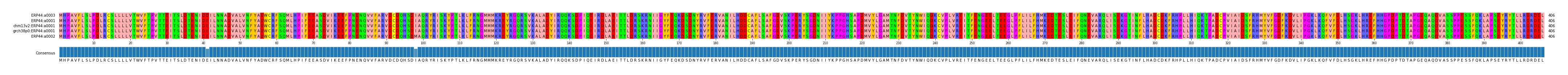 Multiple Alignments (by translate haplotype similarity)