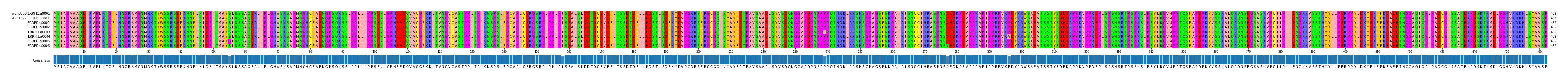 Multiple Alignments (by translate haplotype frequency)