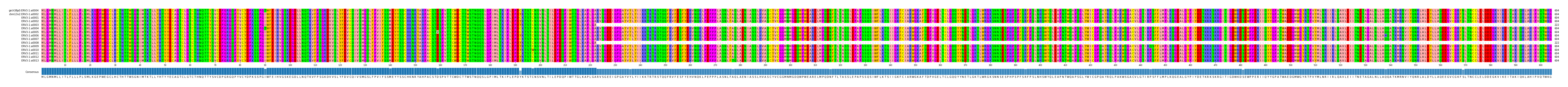 Multiple Alignments (by translate haplotype frequency)