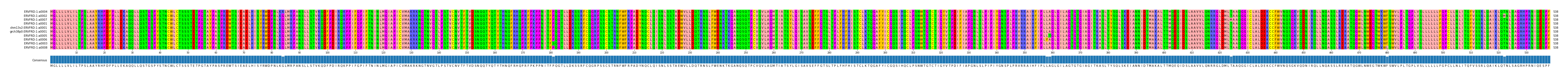 Multiple Alignments (by translate haplotype similarity)