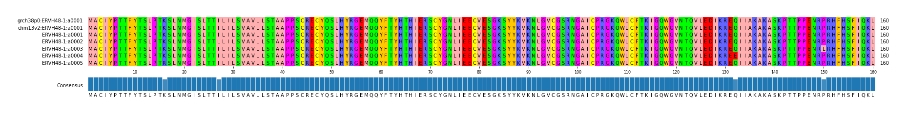 Multiple Alignments (by translate haplotype frequency)