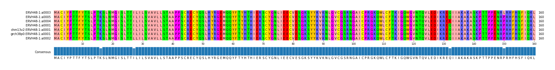 Multiple Alignments (by translate haplotype similarity)