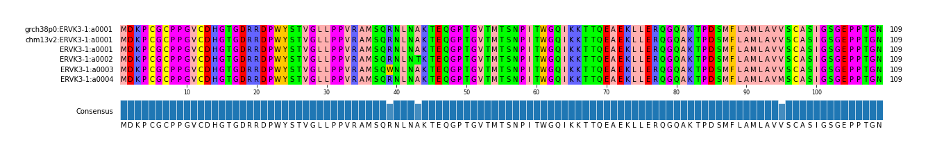 Multiple Alignments (by translate haplotype frequency)