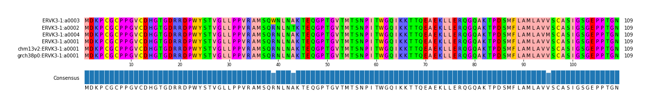 Multiple Alignments (by translate haplotype similarity)