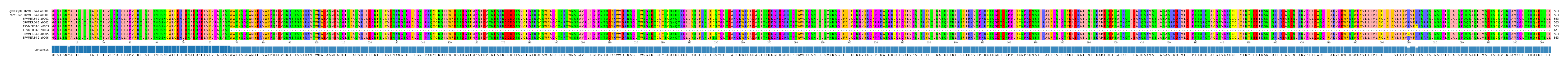 Multiple Alignments (by translate haplotype frequency)